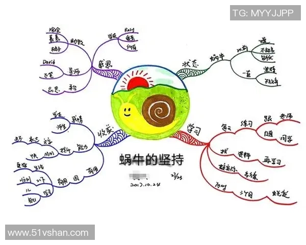 张宁的奋斗历程与人生哲学：从平凡到卓越的心路历程与启示